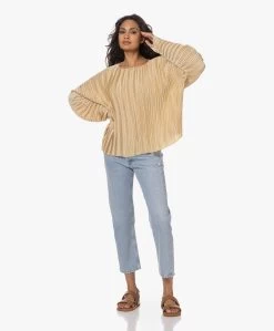 Viveh Lolite Satijnen Plissé Blouse - Warm Sand -Kleding Series Winkel 230407 06a17844 12e2 4ed9 811d 7ecaf8e344c6