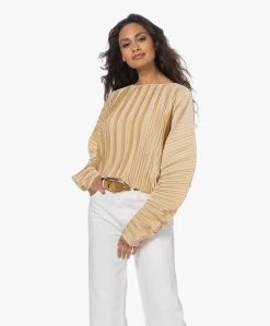 Viveh Lolite Satijnen Plissé Blouse - Warm Sand -Kleding Series Winkel 230407 4d946ece a8f9 406f 9263 ead40d964d8c