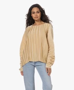 Viveh Lolite Satijnen Plissé Blouse - Warm Sand -Kleding Series Winkel 230407 6944ebd9 0623 4b3c 830a 48b2db75e88c