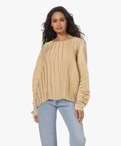 Viveh Lolite Satijnen Plissé Blouse - Warm Sand -Kleding Series Winkel 230407 6944ebd9 0623 4b3c 830a 48b2db75e88c scaled