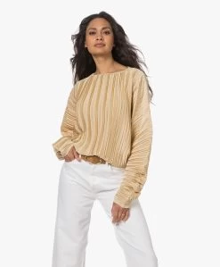 Viveh Lolite Satijnen Plissé Blouse - Warm Sand -Kleding Series Winkel 230407 72a1fcd9 c08a 4bea aeb8 93bfb85d650b