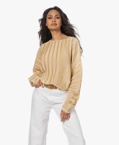 Viveh Lolite Satijnen Plissé Blouse - Warm Sand -Kleding Series Winkel 230407 72a1fcd9 c08a 4bea aeb8 93bfb85d650b scaled