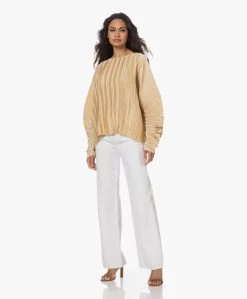 Viveh Lolite Satijnen Plissé Blouse - Warm Sand -Kleding Series Winkel 230407 8977c893 d56e 403d 8647 2994184b1674
