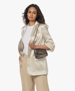 Jérôme Dreyfuss Jerome Dreyfuss Lulu S Leren Schouder/Cross-Body Tas - Lamé Champagne -Kleding Series Winkel 230424 ddf671eb f789 4205 8d12 36cc33dcb6a3 scaled