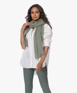 Lasalle Cashmere Pasmina Sjaal - Sage -Kleding Series Winkel 230530 a25f105b e224 4741 80e8 aaccb542df32 scaled