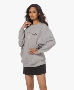 Deblon Sports Gigi Oversized Logo Sweatshirt - Grijs Mêlee -Kleding Series Winkel 230613 a39a283f e278 41fd adb8 3feb64781762 scaled