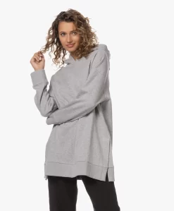 Gai+Lisva Malou Oversized Bio Katoenen Hoodie - Lichtgrijs Mêlee -Kleding Series Winkel 230620 1255a3a3 0fbe 4f33 bb07 e7b2bf441cee scaled