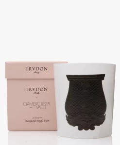 Trudon X Giambattista Valli Rose Poivrée Geurkaars - 270Gr -Kleding Series Winkel 258ed179 98f2 4287 a734 f905d979347f 01 scaled