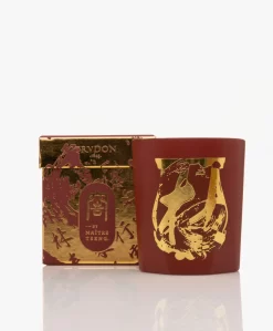 Trudon Terre À Terre Geurkaars - 270Gr -Kleding Series Winkel 32be849f 4faf 462c 926a ebb05403e76c 02 scaled