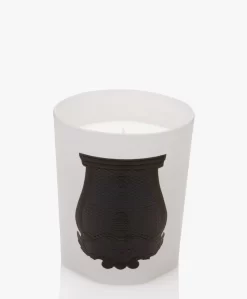 Trudon X Giambattista Valli Rose Poivrée Geurkaars - 270Gr