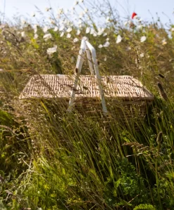 Pb. Favorites Picknickmand - Bruin -Kleding Series Winkel 6f48f163 ec1e 4393 b1e2 f8cdc02e9551 06 scaled