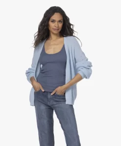 Plein Publique Le Printemps Open Ajour Vest - Lichtblauw -Kleding Series Winkel 99d0bb2f e240 4c51 81b5 18d822a9ef22 316 scaled