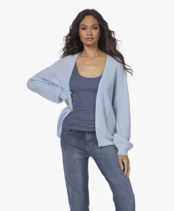 Plein Publique Le Printemps Open Ajour Vest - Lichtblauw -Kleding Series Winkel a436256f 2d06 48df 9b62 144063ffa735 311 scaled